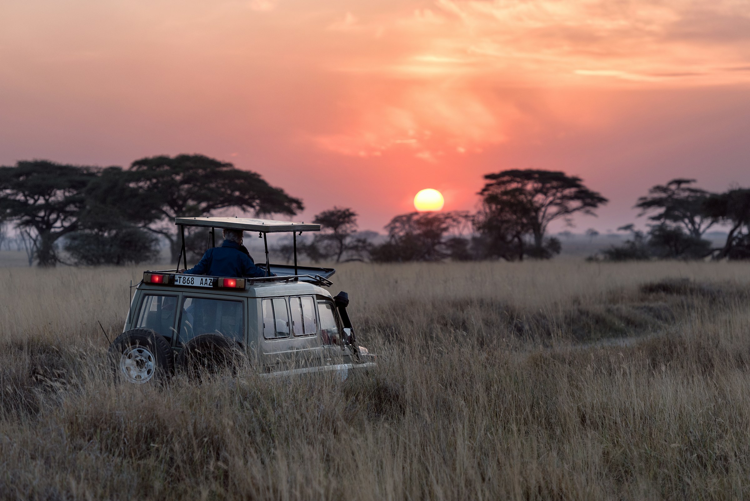 Safari & Wildlife Luxury