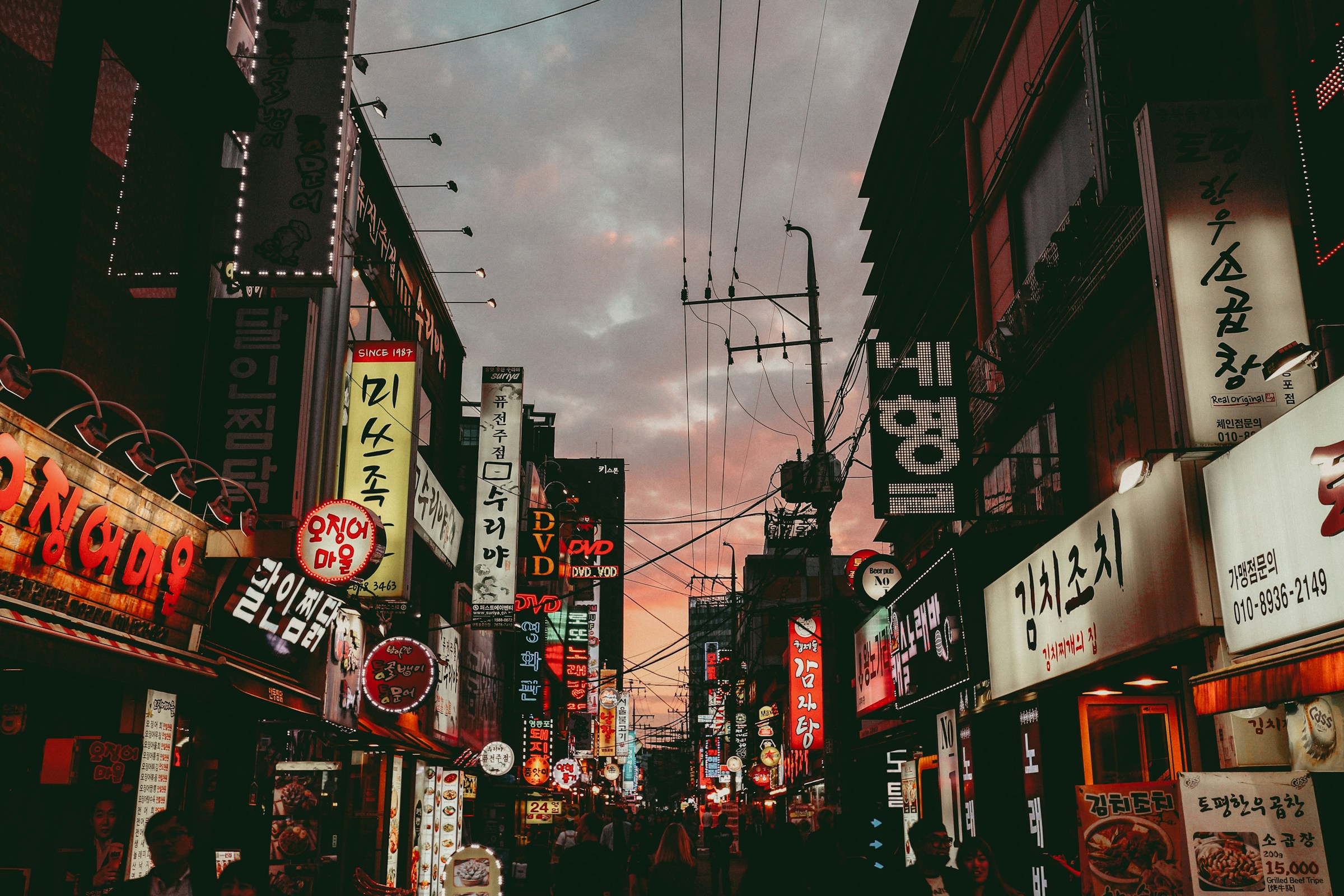 Tokyo + Kyoto Cherry Blossom