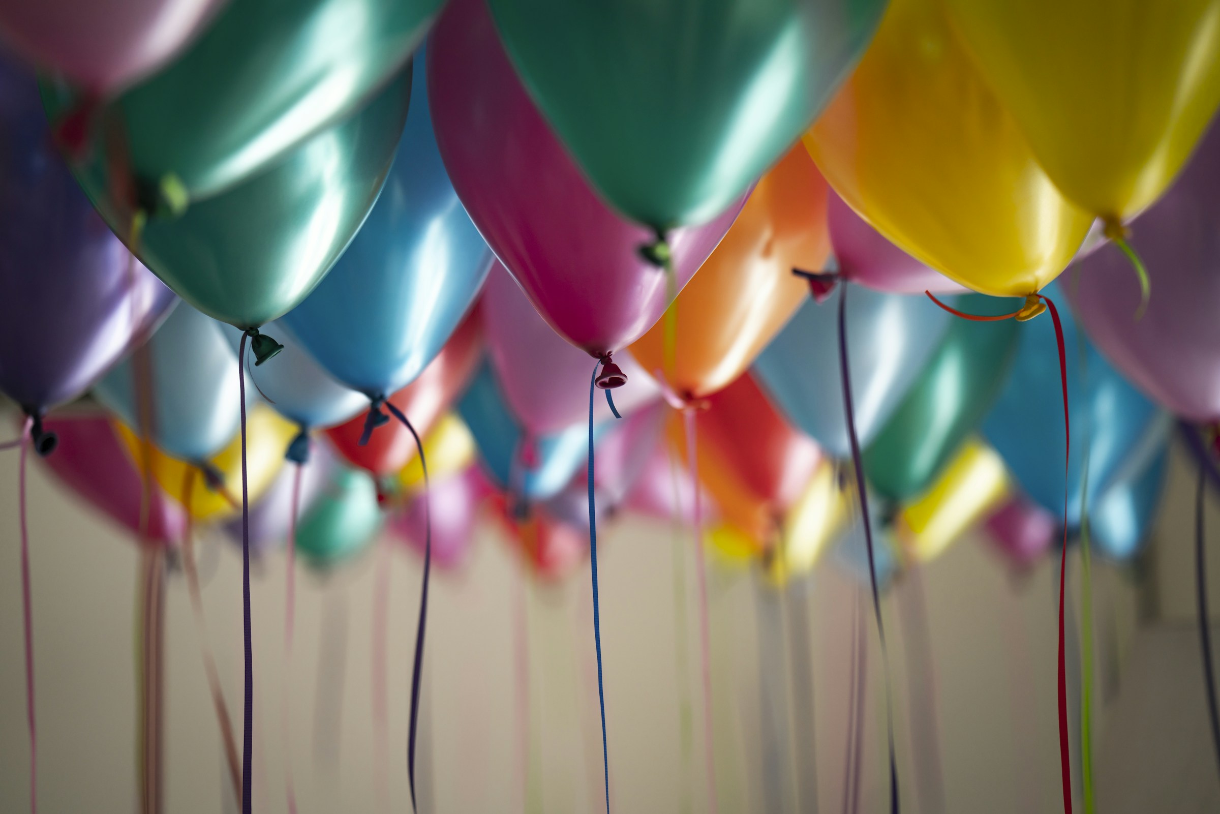 Special Occasion Holidays